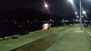 鼠ヶ関港夜釣り