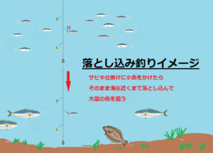 堤防で大物を釣る方法はこれ ブリやヒラメを狙う釣り方を徹底解説します