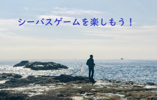 シーバスゲーム磯場