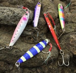 ショアジギングの時期と釣れる魚 季節ごとのターゲットについて解説