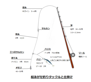 船釣り仕掛け 人気の魚を釣るための仕掛け一覧を公開 初心者もバッチリ