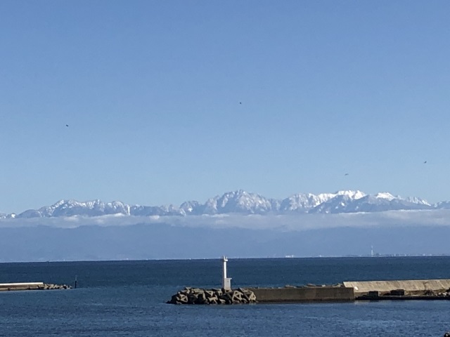 アジングの時期を徹底解説 季節ごとの傾向と楽しみ方についてととアジングのベストシーズンを紹介します