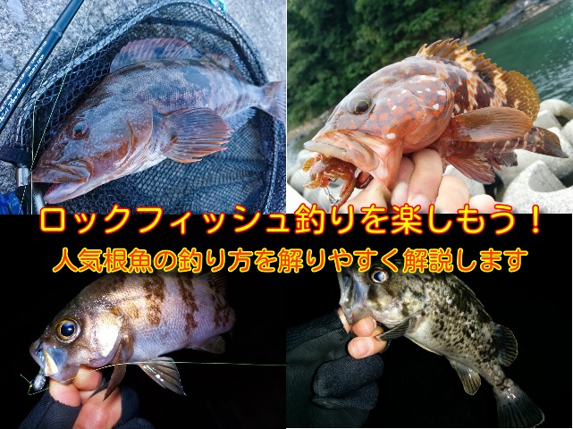 ロックフィッシュ