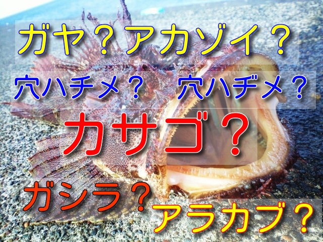 カサゴ釣りの仕掛けベスト３ 胴突き仕掛け ブッコミ仕掛け 穴釣り仕掛けの3つについて分かりやすく解説します