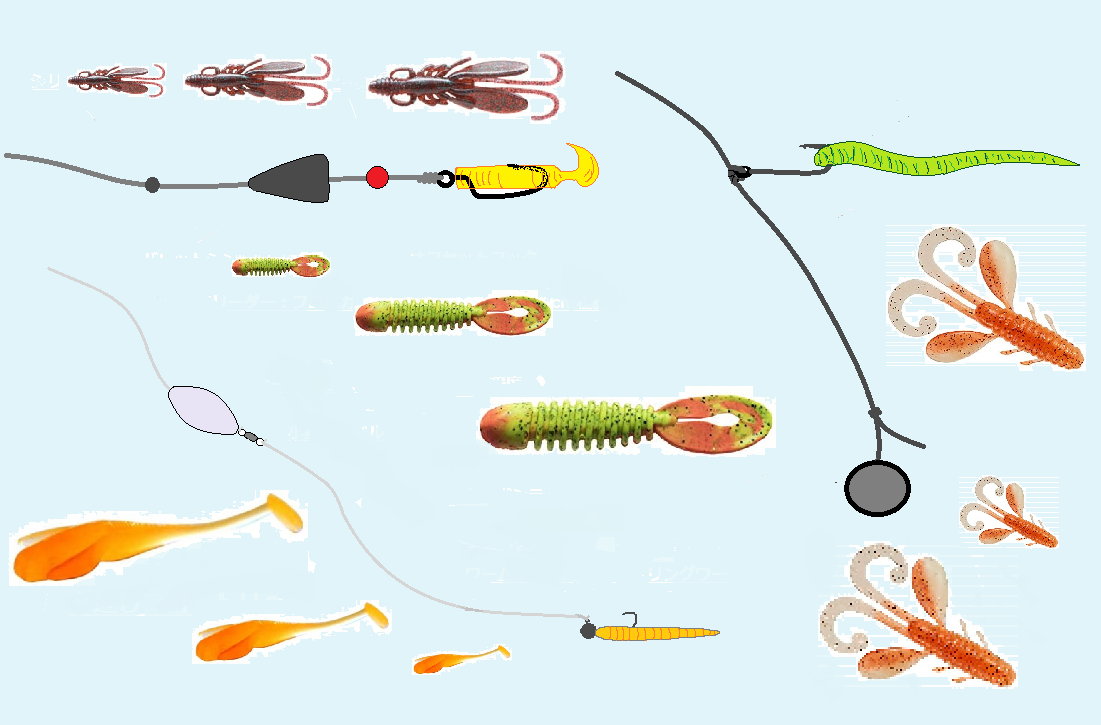 カサゴをワームで釣ろう おすすめ７選の紹介と釣り方を解説します