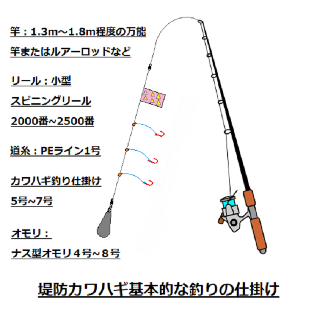 カワハギ堤防釣りを楽しもう 仕掛けや釣り方について解りやすく解説 釣り情報 松前屋