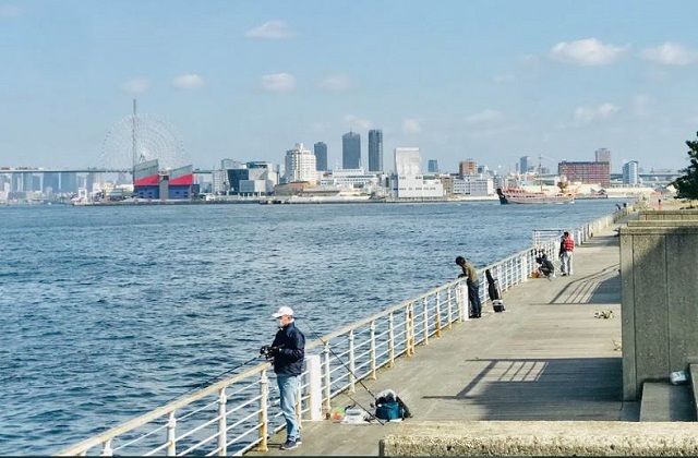 大阪でタコ釣りが楽しめる釣り場を紹介します 初心者にもおおすすめです