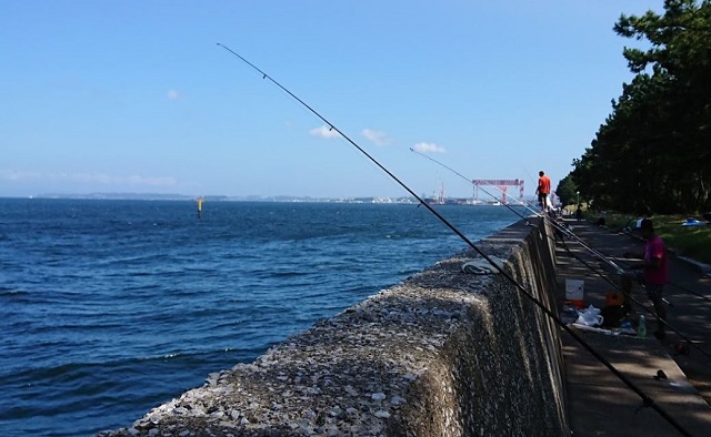 タコ釣りが楽しめる関東の釣り場を紹介します 初心者にもおおすすめです 釣り情報 松前屋