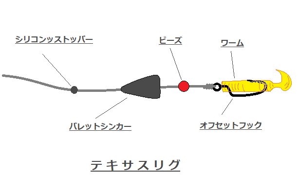 チニング初心者講座 チニングの時期や釣り方について分かりやすく解説します