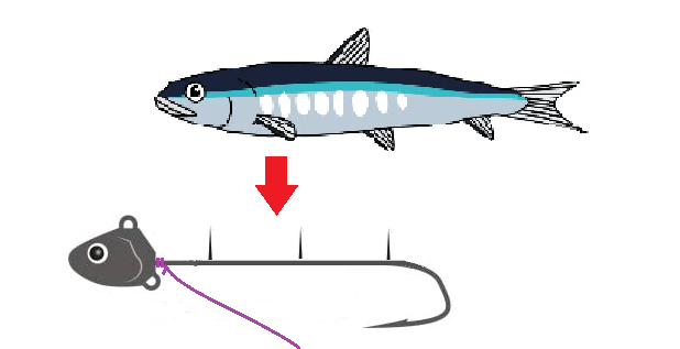 タチウオ釣りを楽しもう タチウオ釣りの仕掛けと釣り方を徹底解説します